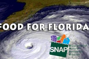Florida Disaster SNAP Benefits Guide Safem Fabrication - Precision Engineering & Custom Manufacturing Solutions Florida Disaster SNAP Benefits Guide | Safem Fabrication - Precision Engineering & Custom Manufacturing Solutions