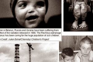 Chernobyl Disaster: Human Impact & Aftermath Safem Fabrication - Precision Engineering & Custom Manufacturing Solutions Chernobyl Disaster: Human Impact & Aftermath | Safem Fabrication - Precision Engineering & Custom Manufacturing Solutions
