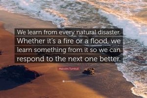 Uplifting Quotes for Natural Disaster Recovery Safem Fabrication - Precision Engineering & Custom Manufacturing Solutions Uplifting Quotes for Natural Disaster Recovery | Safem Fabrication - Precision Engineering & Custom Manufacturing Solutions
