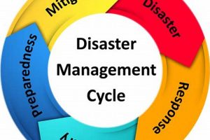 Understanding Disaster Management: A Complete Guide | Safem Fabrication - Precision Engineering & Custom Manufacturing Solutions