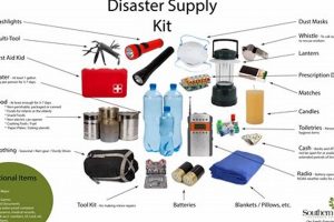 The Ultimate Natural Disaster Survival Kit Guide | Disaster Information Hub – Latest Natural Disaster News & Emergency Resources