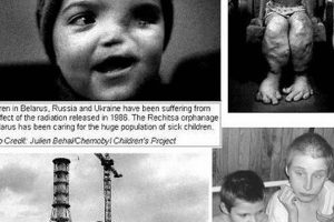 Chernobyl Mutations: Legacy of a Nuclear Disaster Disaster Information Hub – Latest Natural Disaster News & Emergency Resources Chernobyl Mutations: Legacy of a Nuclear Disaster | Disaster Information Hub – Latest Natural Disaster News & Emergency Resources