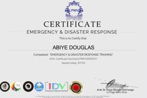Certified Disaster Manager: Get Your Certificate Safem Fabrication - Precision Engineering & Custom Manufacturing Solutions Certified Disaster Manager: Get Your Certificate | Safem Fabrication - Precision Engineering & Custom Manufacturing Solutions