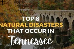 TN Natural Disaster Guide & Safety Tips Disaster Information Hub – Latest Natural Disaster News & Emergency Resources TN Natural Disaster Guide & Safety Tips | Disaster Information Hub – Latest Natural Disaster News & Emergency Resources