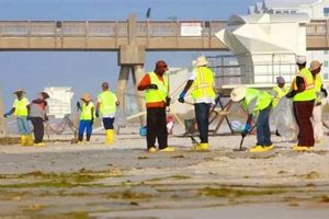 Restore Florida: Disaster Cleanup Jobs Await Safem Fabrication - Precision Engineering & Custom Manufacturing Solutions Restore Florida: Disaster Cleanup Jobs Await | Safem Fabrication - Precision Engineering & Custom Manufacturing Solutions