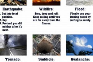 Prepping for Natural Disasters: Survival Guide | Safem Fabrication - Precision Engineering & Custom Manufacturing Solutions