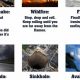 Prepping for Natural Disasters: Survival Guide | Safem Fabrication - Precision Engineering & Custom Manufacturing Solutions