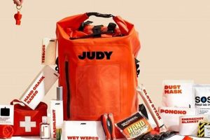 The Ultimate Judy Disaster Kit Guide & Checklist Safem Fabrication - Precision Engineering & Custom Manufacturing Solutions The Ultimate Judy Disaster Kit Guide & Checklist | Safem Fabrication - Precision Engineering & Custom Manufacturing Solutions