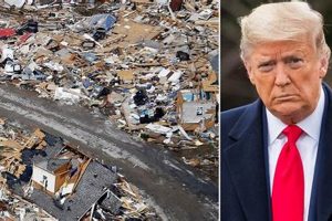 Trump's Disaster: Presidency's Fallout & Lessons Learned Disaster Information Hub – Latest Natural Disaster News & Emergency Resources Trump's Disaster: Presidency's Fallout & Lessons Learned | Disaster Information Hub – Latest Natural Disaster News & Emergency Resources