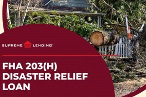 Applying for Disaster Relief Loans: A Guide Disaster Information Hub – Latest Natural Disaster News & Emergency Resources Applying for Disaster Relief Loans: A Guide | Disaster Information Hub – Latest Natural Disaster News & Emergency Resources