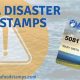Florida D-SNAP: Get Disaster Food Stamps Now | Safem Fabrication - Precision Engineering & Custom Manufacturing Solutions