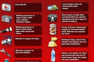 Essential FEMA Disaster Prep Kit Guide Disaster Information Hub – Latest Natural Disaster News & Emergency Resources Essential FEMA Disaster Prep Kit Guide | Disaster Information Hub – Latest Natural Disaster News & Emergency Resources
