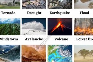 Tracking Recent Natural Disasters &amp; Updates | Disaster Information Hub – Latest Natural Disaster News & Emergency Resources