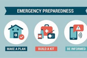 Preparing for Natural Disasters: A Complete Guide Disaster Information Hub – Latest Natural Disaster News & Emergency Resources Preparing for Natural Disasters: A Complete Guide | Disaster Information Hub – Latest Natural Disaster News & Emergency Resources