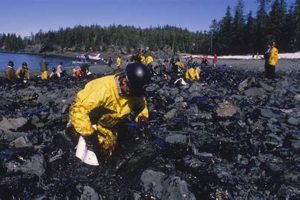 America's Worst Oil Disaster: Deepwater Horizon Disaster Information Hub – Latest Natural Disaster News & Emergency Resources America's Worst Oil Disaster: Deepwater Horizon | Disaster Information Hub – Latest Natural Disaster News & Emergency Resources