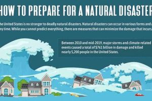 Ultimate Natural Disaster Survival Guide | Disaster Information Hub – Latest Natural Disaster News & Emergency Resources