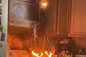 Avoid Cooking Disasters: Tips & Tricks Disaster Information Hub – Latest Natural Disaster News & Emergency Resources Avoid Cooking Disasters: Tips & Tricks | Disaster Information Hub – Latest Natural Disaster News & Emergency Resources
