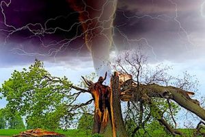Top 10 Most Destructive Natural Disasters in History Disaster Information Hub – Latest Natural Disaster News & Emergency Resources Top 10 Most Destructive Natural Disasters in History | Disaster Information Hub – Latest Natural Disaster News & Emergency Resources