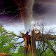 Top 10 Most Destructive Natural Disasters in History | Disaster Information Hub – Latest Natural Disaster News & Emergency Resources