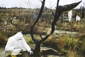 Chernobyl's Impact: Lasting Environmental Scars Disaster Information Hub – Latest Natural Disaster News & Emergency Resources Chernobyl's Impact: Lasting Environmental Scars | Disaster Information Hub – Latest Natural Disaster News & Emergency Resources