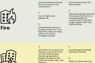 Your Sample Disaster Preparedness Plan & Checklist Disaster Information Hub – Latest Natural Disaster News & Emergency Resources Your Sample Disaster Preparedness Plan & Checklist | Disaster Information Hub – Latest Natural Disaster News & Emergency Resources