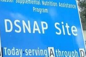 SC Disaster Food Stamps: Get Help Now Disaster Information Hub – Latest Natural Disaster News & Emergency Resources SC Disaster Food Stamps: Get Help Now | Disaster Information Hub – Latest Natural Disaster News & Emergency Resources