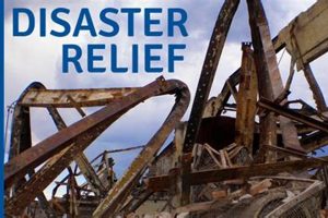 Texas IRS Disaster Relief: Tax Breaks & Aid | Disaster Information Hub – Latest Natural Disaster News & Emergency Resources