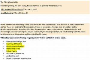 Effective Disaster Planning & Management: Case Studies Disaster Information Hub – Latest Natural Disaster News & Emergency Resources Effective Disaster Planning & Management: Case Studies | Disaster Information Hub – Latest Natural Disaster News & Emergency Resources