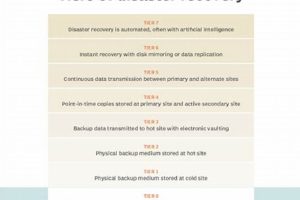 Understanding Disaster Recovery Tiers: A Complete Guide Safem Fabrication - Precision Engineering & Custom Manufacturing Solutions Understanding Disaster Recovery Tiers: A Complete Guide | Safem Fabrication - Precision Engineering & Custom Manufacturing Solutions