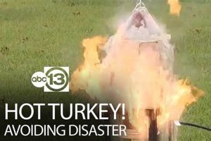 Avoid Turkey Fryer Disasters This Thanksgiving | Disaster Information Hub – Latest Natural Disaster News & Emergency Resources
