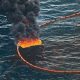2010 Gulf of Mexico Oil Spill: Deepwater Horizon Disaster | Disaster Information Hub – Latest Natural Disaster News & Emergency Resources