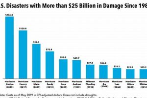 Top 5 Costliest US Natural Disasters: A Look Back Disaster Information Hub – Latest Natural Disaster News & Emergency Resources Top 5 Costliest US Natural Disasters: A Look Back | Disaster Information Hub – Latest Natural Disaster News & Emergency Resources