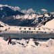 Andes Flight Disaster: A Story of Survival | Disaster Information Hub – Latest Natural Disaster News & Emergency Resources