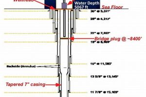 Deepwater Horizon: The Causes of the Disaster Disaster Information Hub – Latest Natural Disaster News & Emergency Resources Deepwater Horizon: The Causes of the Disaster | Disaster Information Hub – Latest Natural Disaster News & Emergency Resources
