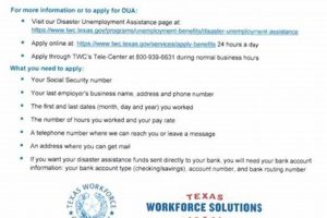 TWC Disaster Unemployment: A Guide & FAQs Disaster Information Hub – Latest Natural Disaster News & Emergency Resources TWC Disaster Unemployment: A Guide & FAQs | Disaster Information Hub – Latest Natural Disaster News & Emergency Resources