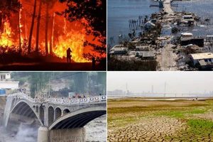 Top 10 Worst Weather Disasters in the World: Case Studies Disaster Information Hub – Latest Natural Disaster News & Emergency Resources Top 10 Worst Weather Disasters in the World: Case Studies | Disaster Information Hub – Latest Natural Disaster News & Emergency Resources