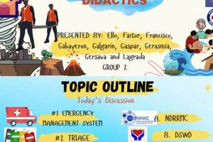Effective Disaster Management Systems Triage Strategies Disaster Information Hub – Latest Natural Disaster News & Emergency Resources Effective Disaster Management Systems Triage Strategies | Disaster Information Hub – Latest Natural Disaster News & Emergency Resources