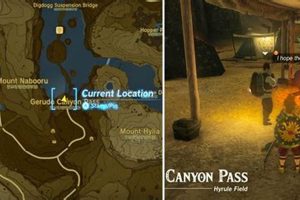 Surviving Gerudo Canyon Disasters in TOTK Disaster Information Hub – Latest Natural Disaster News & Emergency Resources Surviving Gerudo Canyon Disasters in TOTK | Disaster Information Hub – Latest Natural Disaster News & Emergency Resources