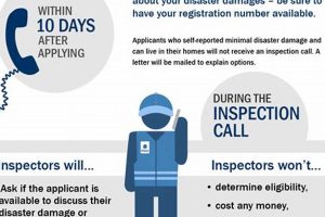 FEMA Disaster Coverage: What's Included? Disaster Information Hub – Latest Natural Disaster News & Emergency Resources FEMA Disaster Coverage: What's Included? | Disaster Information Hub – Latest Natural Disaster News & Emergency Resources