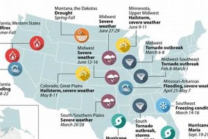 Recap of 2017's Worst Weather Disasters Disaster Information Hub – Latest Natural Disaster News & Emergency Resources Recap of 2017's Worst Weather Disasters | Disaster Information Hub – Latest Natural Disaster News & Emergency Resources