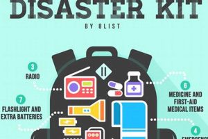 The Ultimate Disaster Kit: Be Prepared Disaster Information Hub – Latest Natural Disaster News & Emergency Resources The Ultimate Disaster Kit: Be Prepared | Disaster Information Hub – Latest Natural Disaster News & Emergency Resources