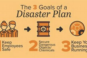 Your Business' Natural Disaster Plan: A Guide Disaster Information Hub – Latest Natural Disaster News & Emergency Resources Your Business' Natural Disaster Plan: A Guide | Disaster Information Hub – Latest Natural Disaster News & Emergency Resources