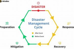 Understanding the 7 Phases of Disaster Management Disaster Information Hub – Latest Natural Disaster News & Emergency Resources Understanding the 7 Phases of Disaster Management | Disaster Information Hub – Latest Natural Disaster News & Emergency Resources