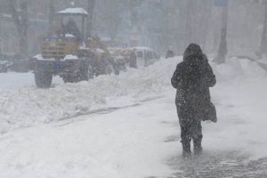Surviving Blizzard Natural Disasters: A Guide Disaster Information Hub – Latest Natural Disaster News & Emergency Resources Surviving Blizzard Natural Disasters: A Guide | Disaster Information Hub – Latest Natural Disaster News & Emergency Resources