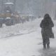 Surviving Blizzard Natural Disasters: A Guide | Disaster Information Hub – Latest Natural Disaster News & Emergency Resources