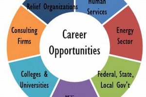 Master Disaster Management: Earn Your Degree Disaster Information Hub – Latest Natural Disaster News & Emergency Resources Master Disaster Management: Earn Your Degree | Disaster Information Hub – Latest Natural Disaster News & Emergency Resources