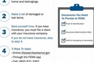 Complete FEMA Disaster Recovery Guide Disaster Information Hub – Latest Natural Disaster News & Emergency Resources Complete FEMA Disaster Recovery Guide | Disaster Information Hub – Latest Natural Disaster News & Emergency Resources