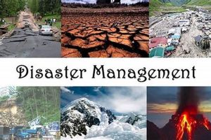 Proactive Natural Disaster Management Strategies Disaster Information Hub – Latest Natural Disaster News & Emergency Resources Proactive Natural Disaster Management Strategies | Disaster Information Hub – Latest Natural Disaster News & Emergency Resources