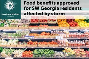 Georgia Disaster SNAP Benefits Guide Disaster Information Hub – Latest Natural Disaster News & Emergency Resources Georgia Disaster SNAP Benefits Guide | Disaster Information Hub – Latest Natural Disaster News & Emergency Resources