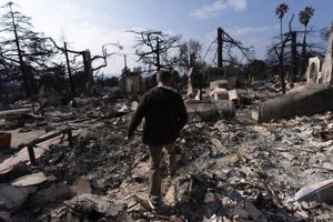 CA Disaster Relief 2024: Guide & Resources Disaster Information Hub – Latest Natural Disaster News & Emergency Resources CA Disaster Relief 2024: Guide & Resources | Disaster Information Hub – Latest Natural Disaster News & Emergency Resources